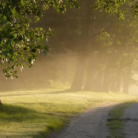 Apartamento Gut Rattelvitz, Parterre B Mitte