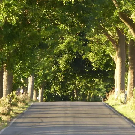 Apartamento Gut Rattelvitz, Parterre B Mitte Gingst